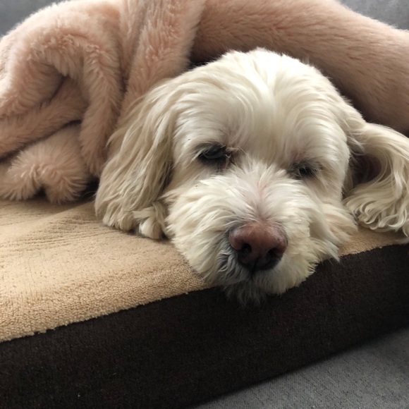 peggypert